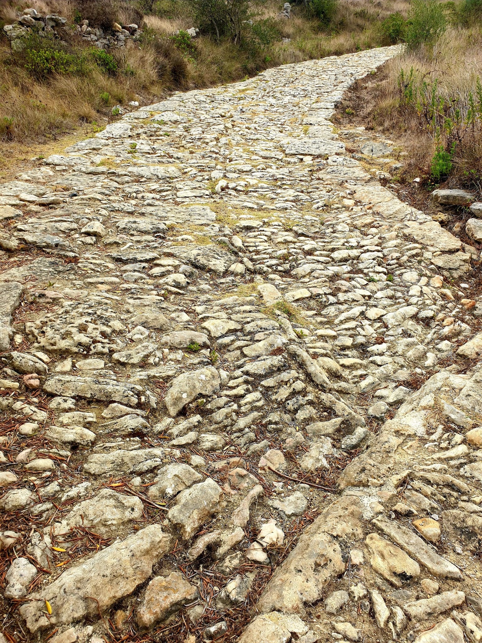 Cataribana Roman Road